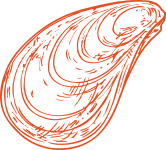 Cockle